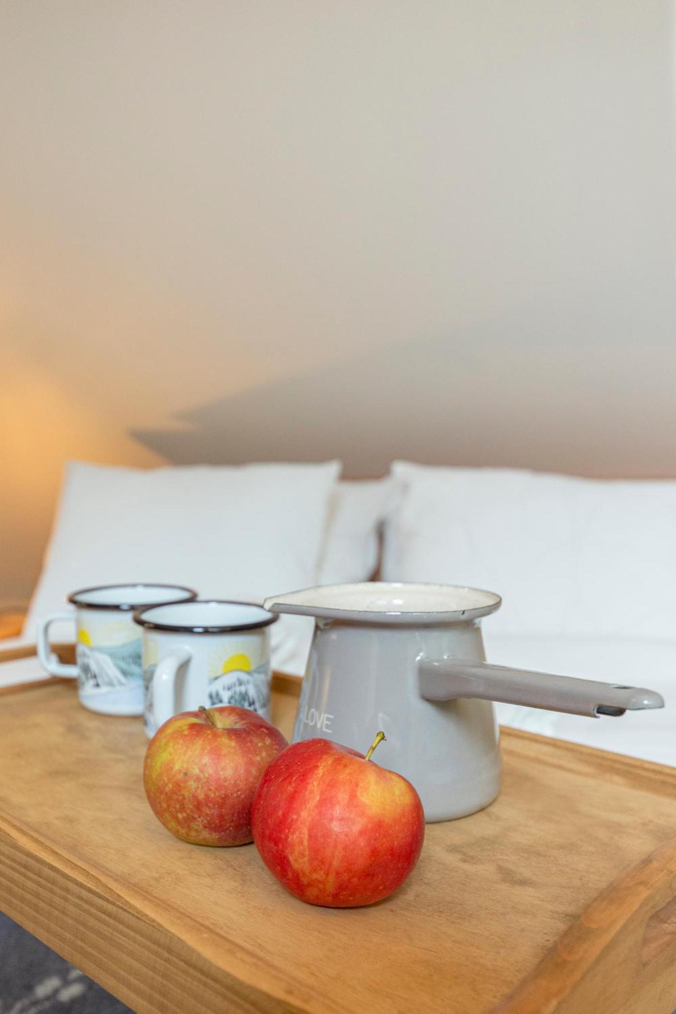 Farmhouse Chalet Apartments بوهينيسكا بيستريكا المظهر الخارجي الصورة